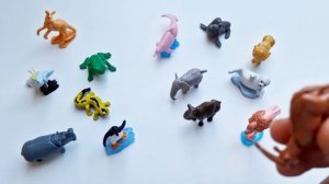 Kinder Surprise Natoons 2023 / Kinder Surprise Animals - Complete collection of animals!