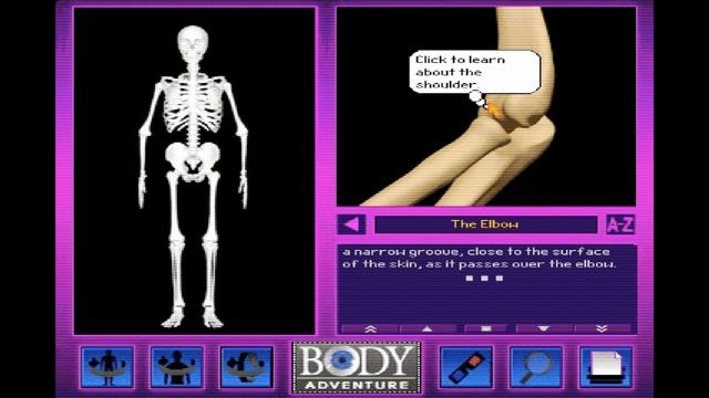3D Body Adventure (1994) - Part 1 - The Skeleton смотреть онлайн