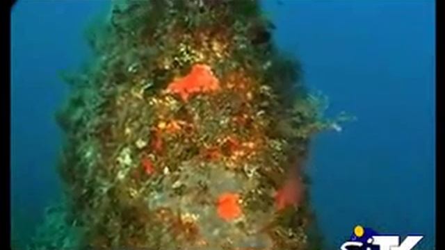Sardinia - diving in Villasimius by SiTV смотреть онлайн