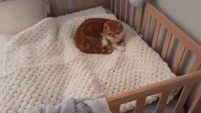 Быт с младенцем.?Стало интереснее, но не легче.?Родители пока не приедут. ? смотреть онлайн