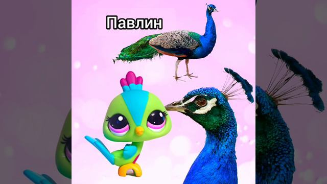 Lps птицы в реальной жизни смотреть онлайн