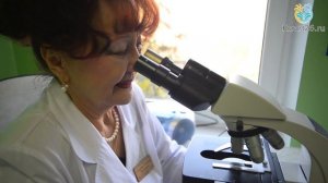 Видеообзор санатория «Лесная поляна», Пятигорск