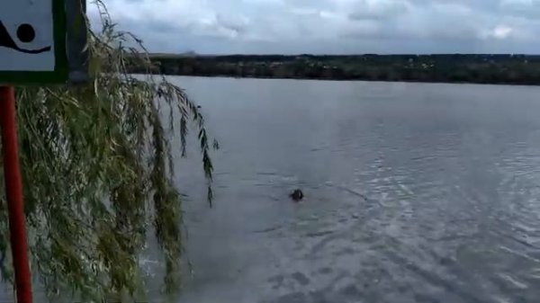 Новопятигорское озеро 2021