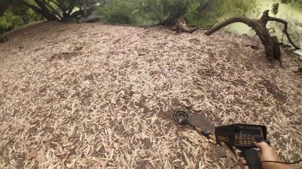 Fisher CZ 7A Pro Huntington Beach Central Park hunt