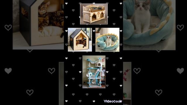 Создай котика мечты✨ #выбирашки #глобальныерекомендации #животные #кот #кошка смотреть онлайн