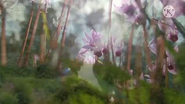 beautiful recitation Abdulbasid qori -تلاوة جميلة Абдулбосид кори Al-Baqara- Ал-Бакара-#Курон-Quron смотреть онлайн
