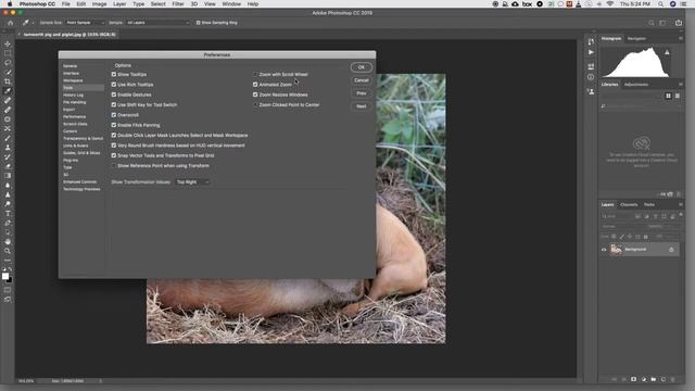 Photoshop 1 e1 - CÁC CÔNG CỤ ĐIỀU HƯỚNG - HAND TOOL смотреть онлайн