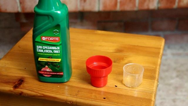 Чтобы новогодняя ёлка не осыпалась и простояла дольше смотреть онлайн