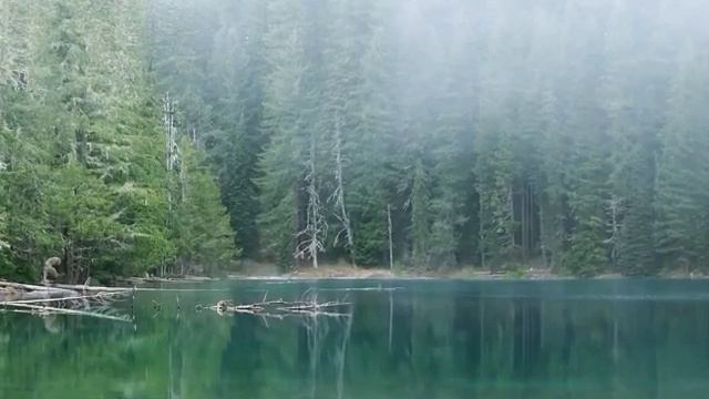 Старец схиархимандрит Иона Игнатенко об ИНН,Електронных Паспортах,и Чипах. смотреть онлайн