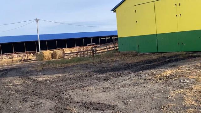 14 октября 2023 г. смотреть онлайн