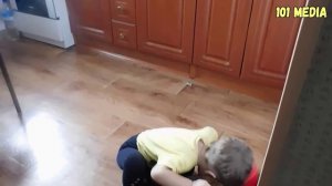 Дети и собаки - смешные сюжеты