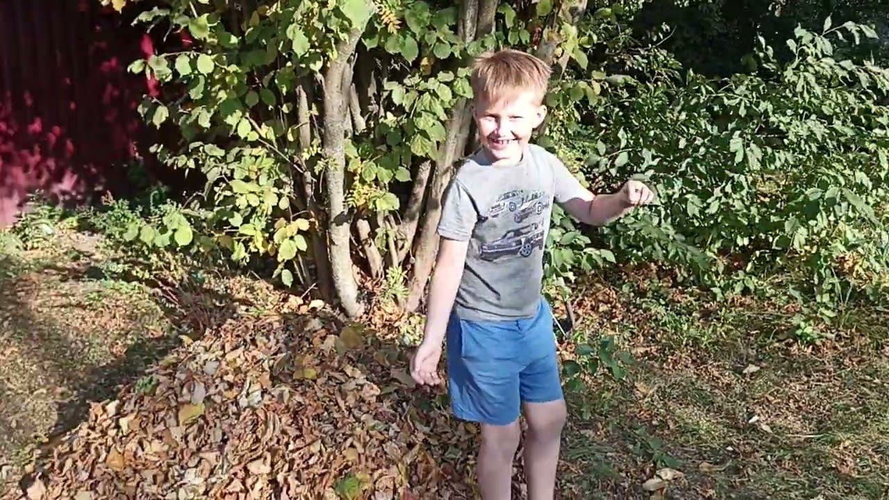 Осений ролик! Прыгаем в кучу листьев! смотреть онлайн