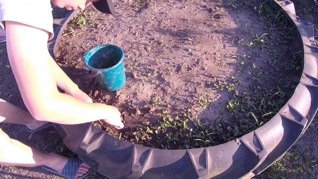 ИЗБАВЛЯЮСЬ ОТ СОРНЯКОВ НА КЛУБНИКЕ И В КЛУМБЕ С ЦВЕТАМИ смотреть онлайн