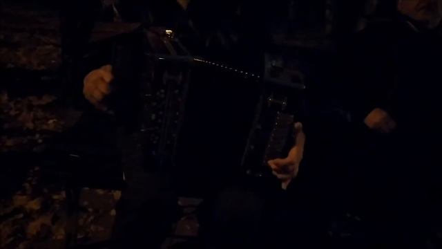 "Сербиянка" на гармони смотреть онлайн
