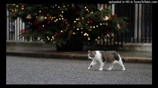 Holidays - Michel Polnareff смотреть онлайн
