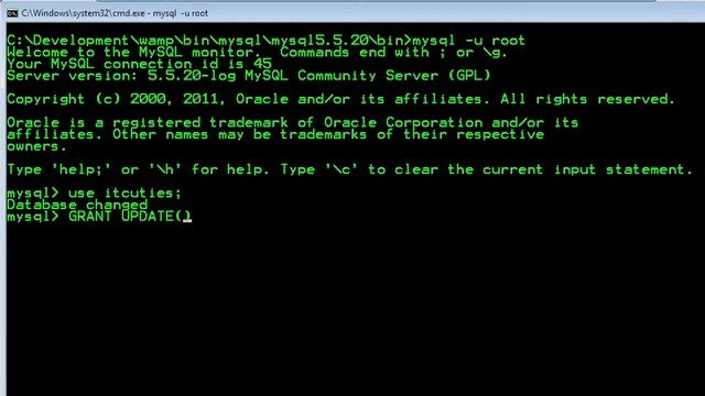 SQL - Privileges смотреть онлайн