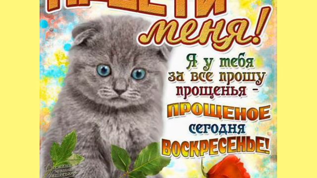 С Прощеным Воскресеньем! Поздравление Прощеное Воскресенье! Прости Меня🙏 смотреть онлайн