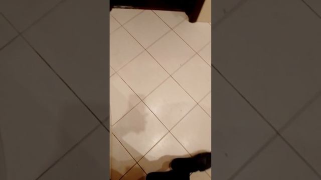 "Была возможность тебя Зарезать" 06 Февраля 2023 год смотреть онлайн