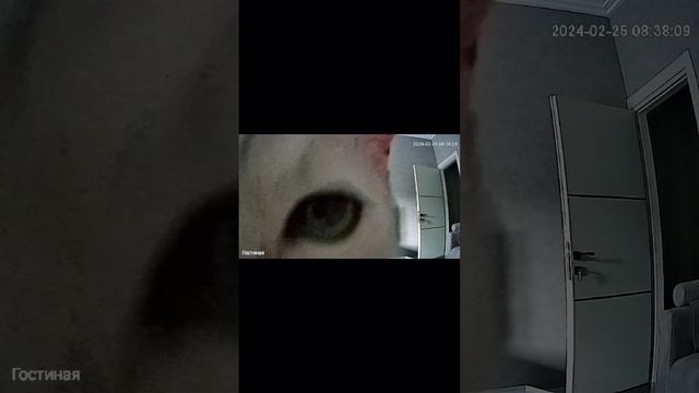 Неопознанный объект смотреть онлайн