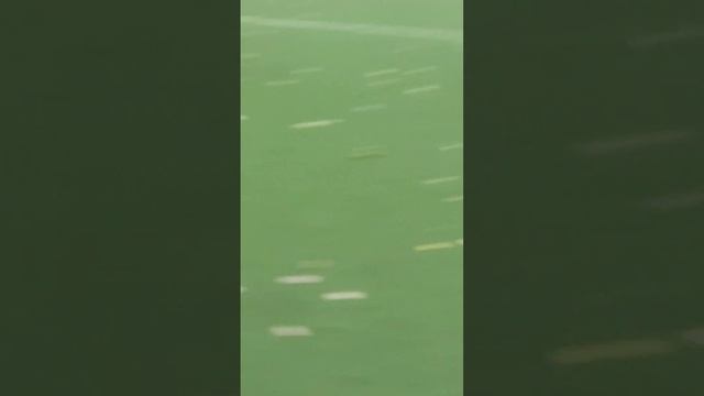 Тише едешь дальше будешь с @TimonDon2K12  и @DARKTVmen