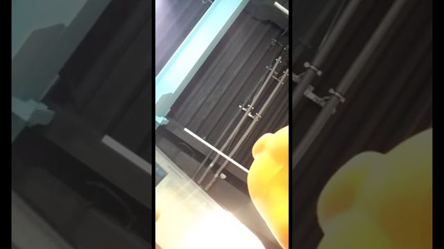 Алиса НА БОНГО! РАЗВИТИЕ МУЖСКОГО КОМЬЮНИТИ смотреть онлайн