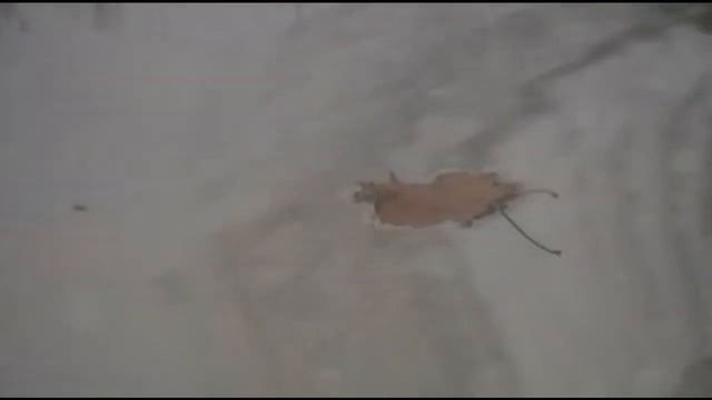 Песни умирают смотреть онлайн