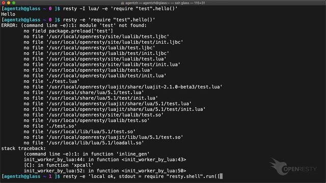 OpenResty's resty Command-Line Utility Demo смотреть онлайн