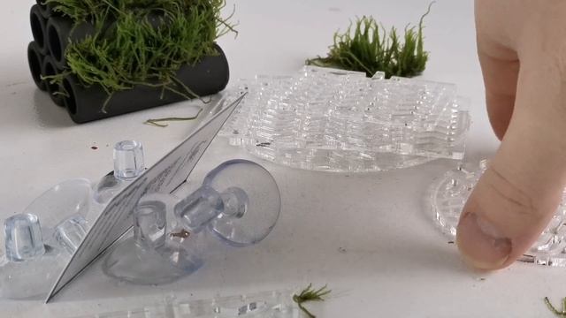 Attaching moss to wood, rocks and hard scape in Aquariums. смотреть онлайн
