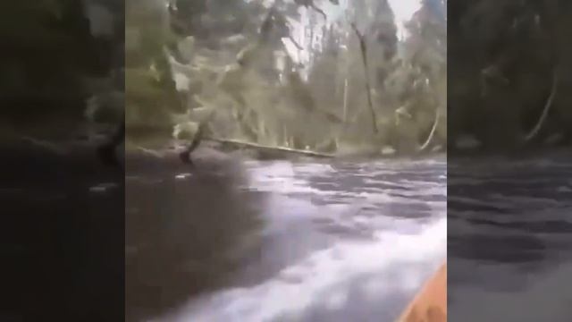 Как же хочется вернуться в детство смотреть онлайн