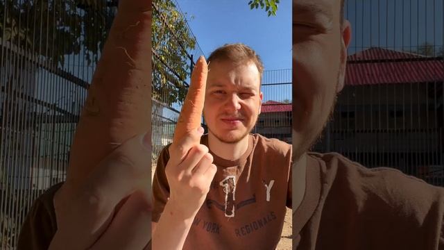Меня преследует Тапир смотреть онлайн
