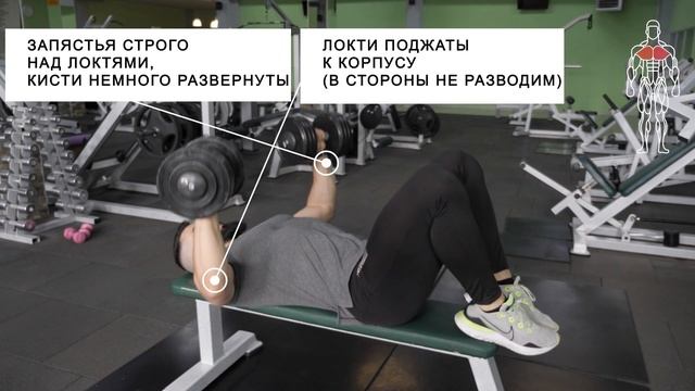 Жим гантелей лежа смотреть онлайн