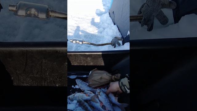 Реальная рыбалка. смотреть онлайн