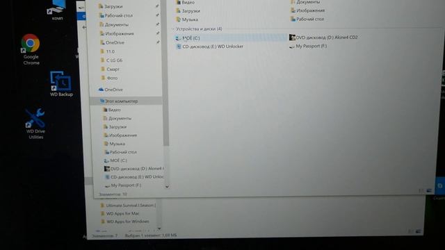 Внешний диск Western Digital My Passport (2 TB) / Арстайл /