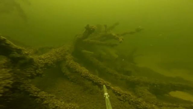 Подводная охота Движение смотреть онлайн