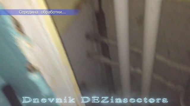 Уничтожение тараканов в однокомнатной квартире смотреть онлайн