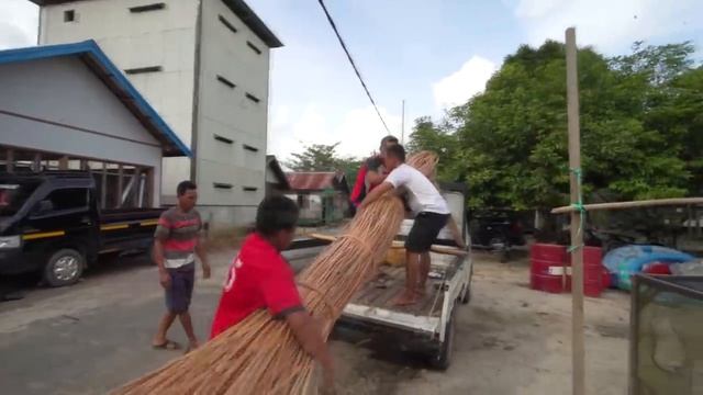 Ротанг/Rattan  | Почему он такой дорогой? смотреть онлайн