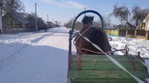 Лошади/Катаемся по деревне/На санях