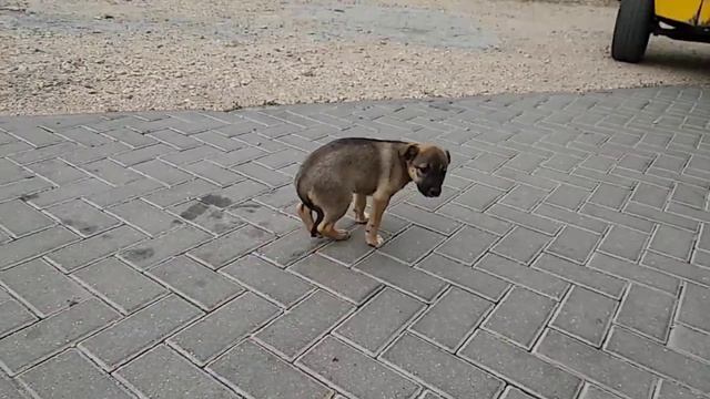 Найти хорошего друга смотреть онлайн