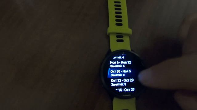 Часы Garmin Forerunner 965. История. Архив. Рекорды - просмотр, возвращение, удаление данных смотреть онлайн