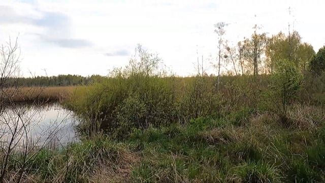ПОПЛА ПОППЕР. НЕЗНАКОМЫЙ ВОДОЕМ. НАШЕЛ КРАСНОПЕРКУ. смотреть онлайн