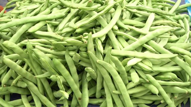 Cabbage Harvest & Coriander Go Market Sell | Cook Pig Food | Life In Farm.