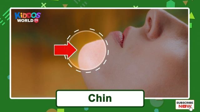 Parts of the Human Body for Learning смотреть онлайн