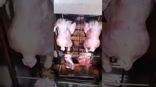 ?Коптильня Москит ВОТ ЛЮДИ ПОПАЛИ! ОТЗЫВ Электростатическая МОСКИТ смотреть онлайн