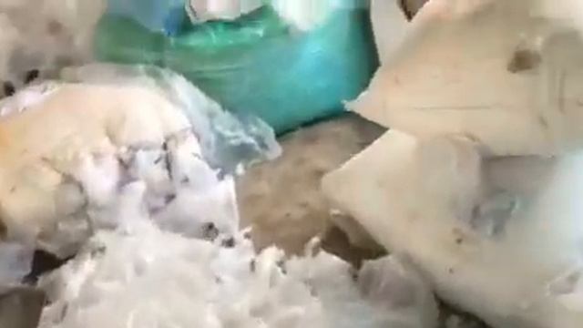 plastic recycling, hm and ldpe carry bag,+91 9539 048 007 смотреть онлайн
