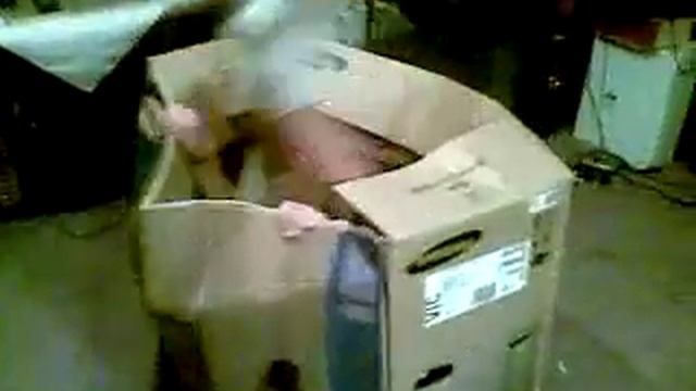 box flip 4 смотреть онлайн