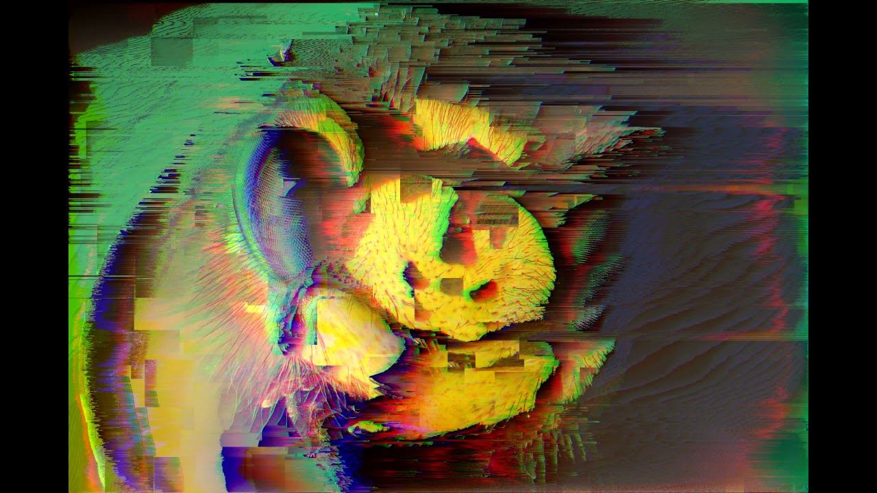 Techleash - Personality Disorder