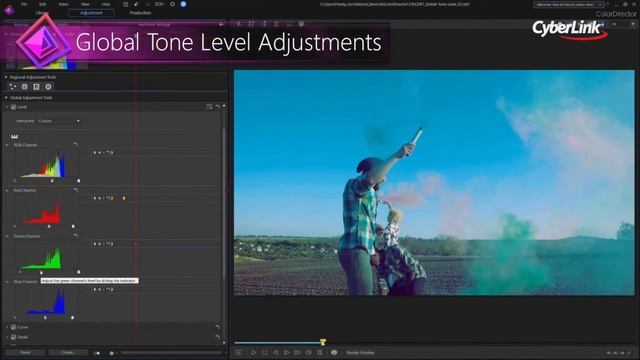 Colorimétrie professionnelle de précision. | ColorDirector 7 - CyberLink смотреть онлайн