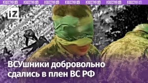 Брошенные ВСУшники связались с русскими и попросились в плен