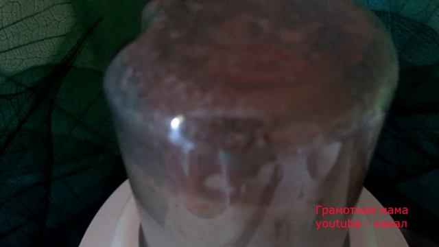 Прикорм каши. Готовим САМИ. Прикорм в 7 месяцев. смотреть онлайн