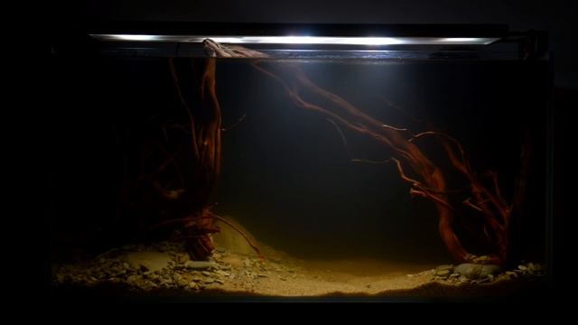 Аквариум для ленивых и отзыв о внешнем фильтре Fluval FX4 после запуска смотреть онлайн